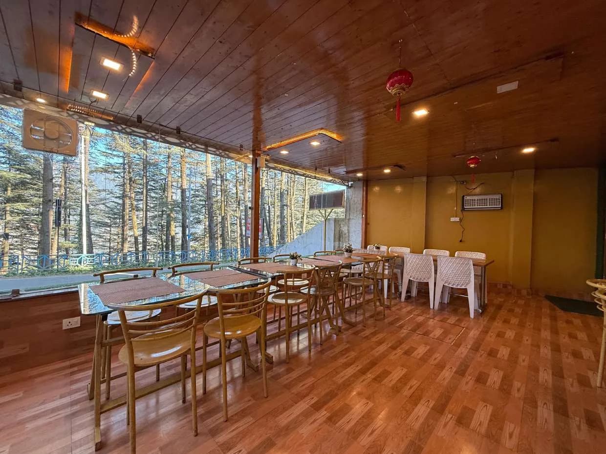Restaurant seating along the glass wall looking onto cedar trees